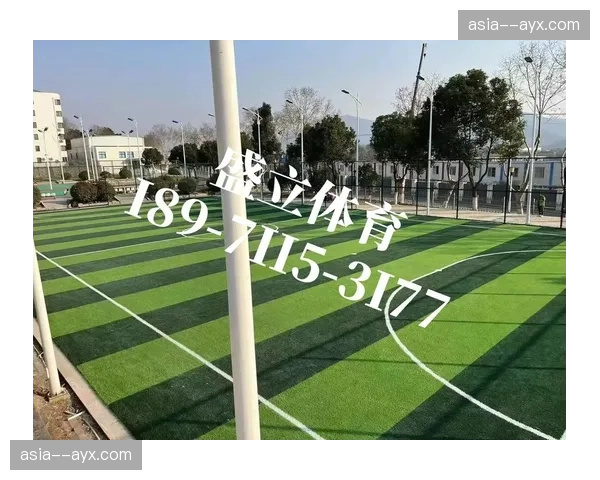 西甲批准塞尔塔主场改造计划，以提升观赛体验与草坪质量